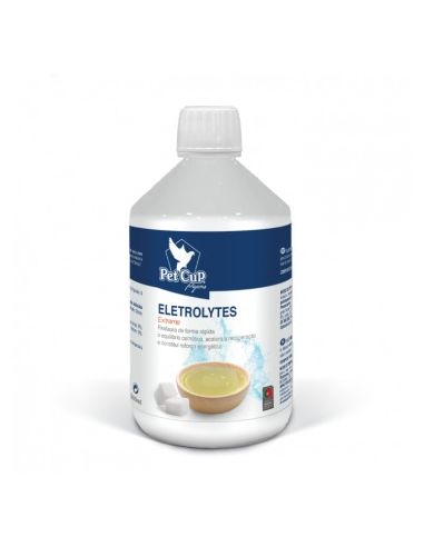 ELECTROLYTES 250 ML