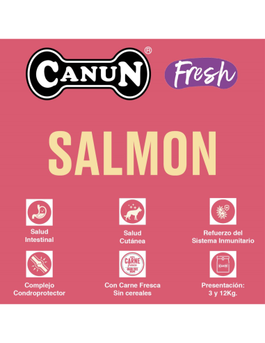 CANUN FRESH SALMON 3 KG