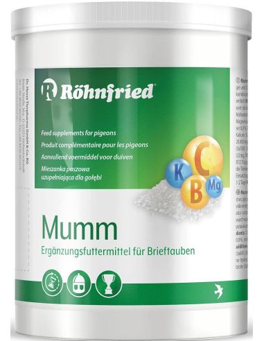 ROHNFRIED GLUCOSE MUMM 400 GR.